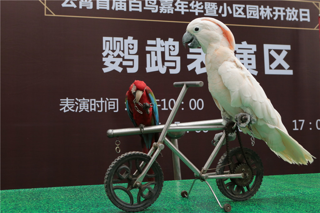CA88(中国)唯一官方网站入口