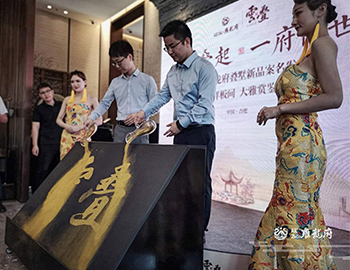 【ca88登陆平台·雍龙府】万象城旁，，，，，6米层高叠墅验资首日人气完爆世界杯开幕式。。。。。。。。。。 